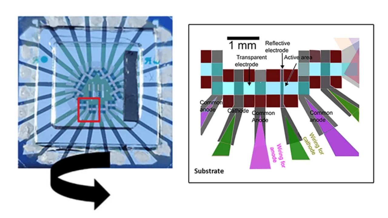 Un fotodiodo orgánico alcanza 3,6 Gbps en un enlace Li-Fi