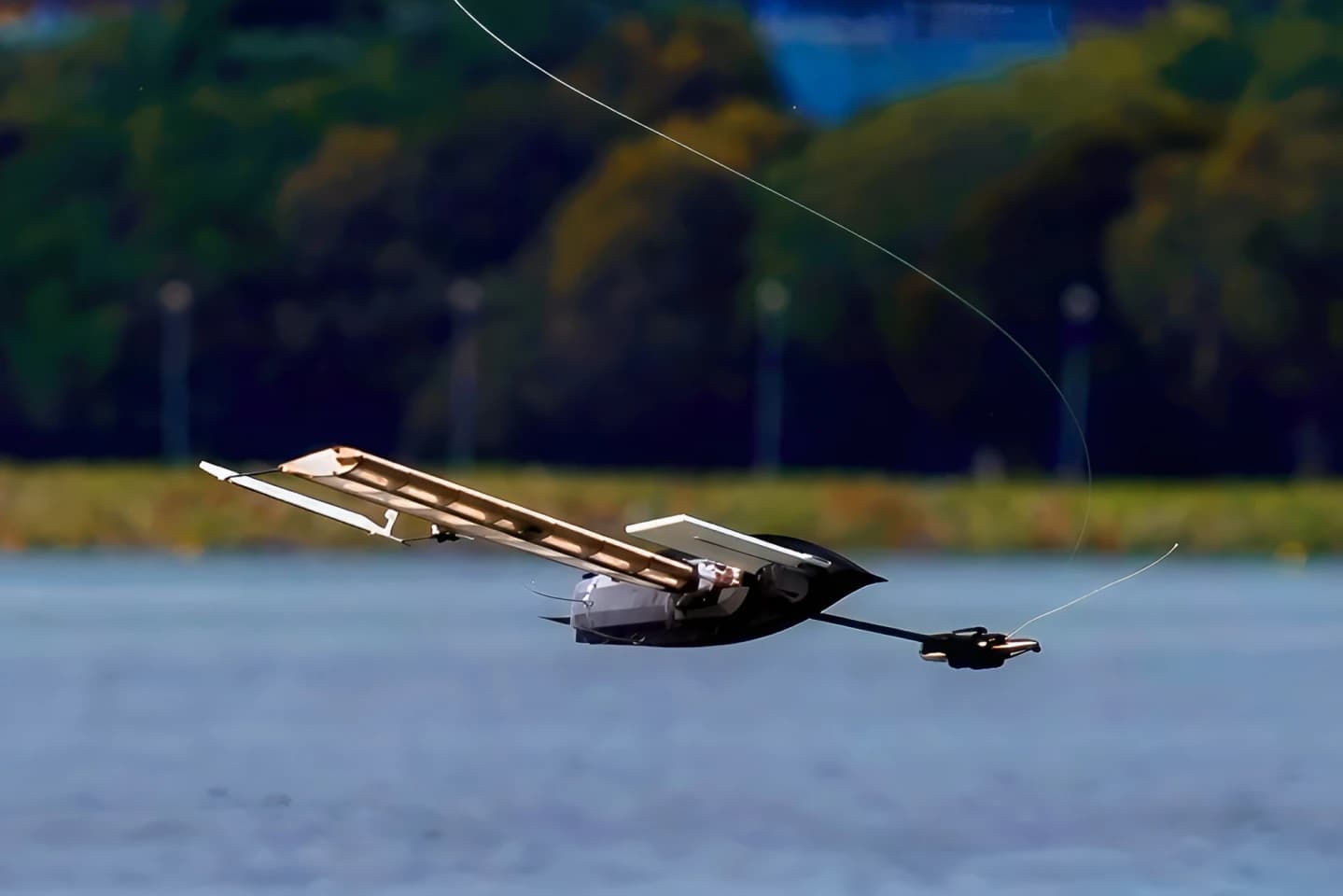 ALBATROSS, el robot que cae como semilla de arce y navega con el viento