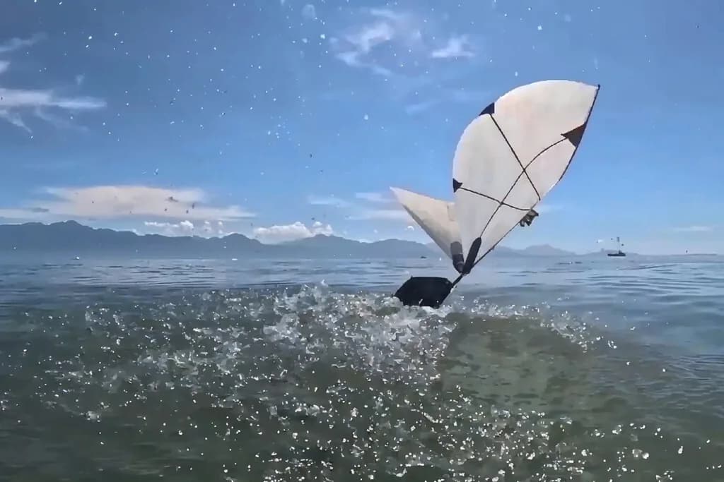 MIT diseña dron que vuela y bucea: inspirado en aves marinas