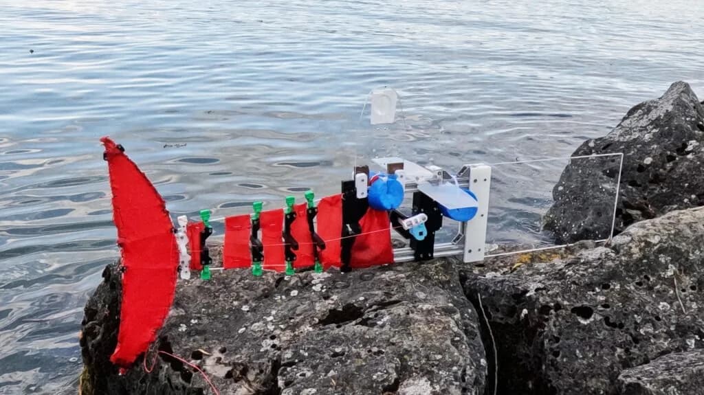 ScaFi, el pez robot de la EPFL que nada igual en tres tamaños