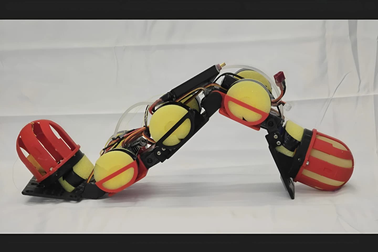 WorMa, el robot gusano de NYU que mueve agua para subir escalones