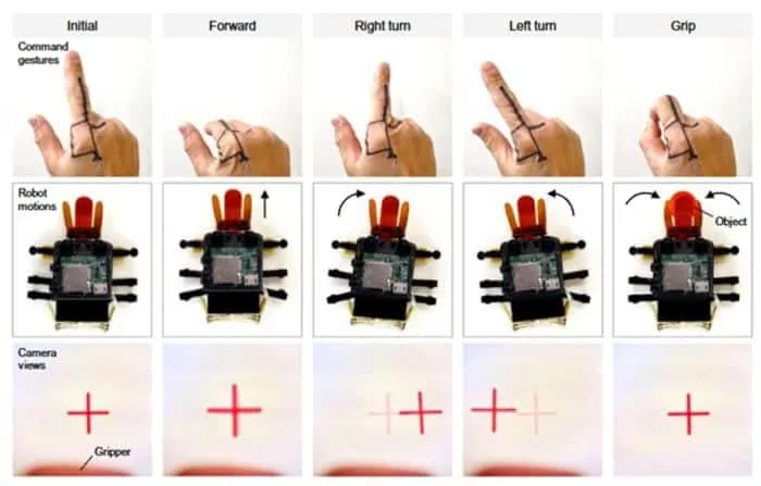 Cada gesto del dedo corresponde a un movimiento del robot y a una vista de su cámara (imagen de KAIST)