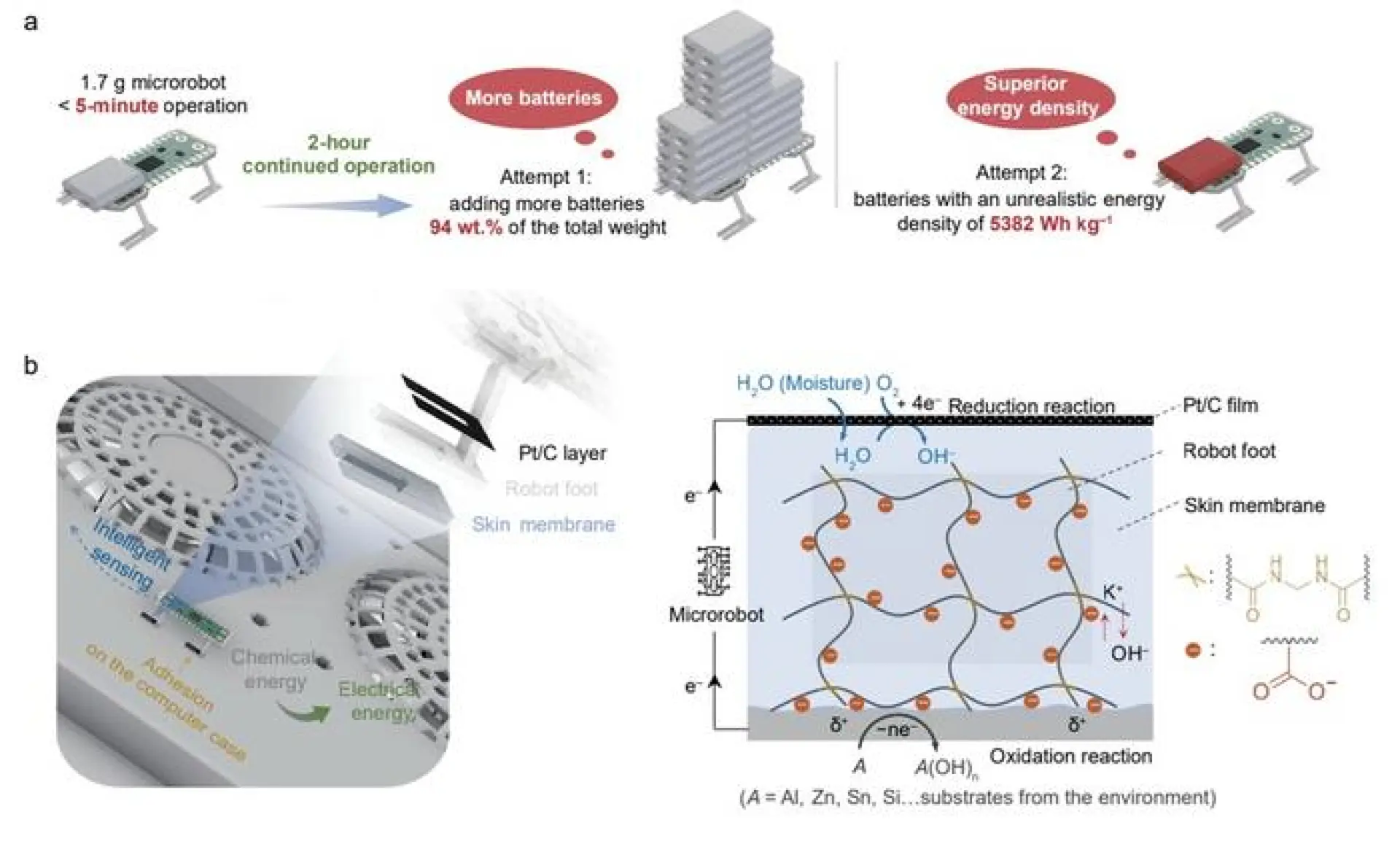 Una membrana de polímero electroquímico permite el funcionamiento continuo de los microrrobots.